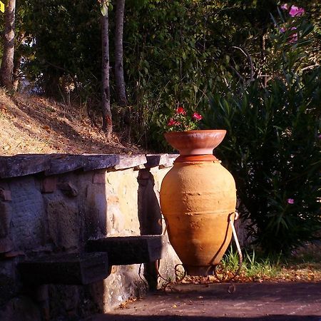 Tenuta Macetona Celle sul Rigo Exteriér fotografie